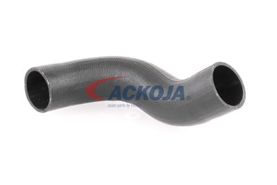 FURTUN EAR SUPRAALIMENTARE ACKOJA A380298 14