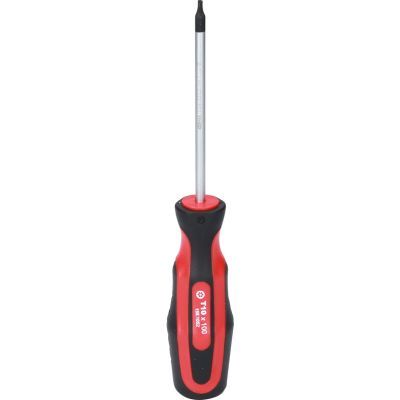 Ks Tools - skrutkovač TORX TB10, 205mm