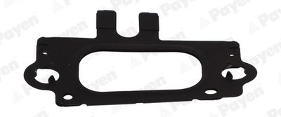 DICHTUNG ABGASKRüMMER