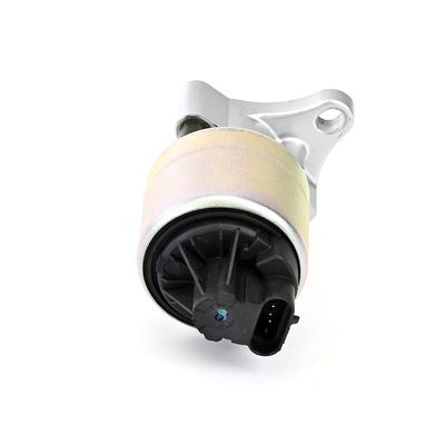 SUPAPA EGR DELPHI EG1039712B1 19