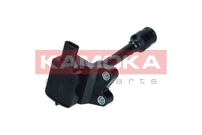 Ignition Coil 7120122