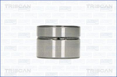 TRISCAN 80-10002 Сухар клапана 