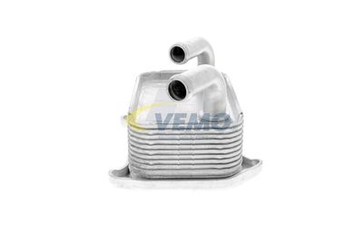 RADIATOR ULEI ULEI MOTOR VEMO V95600010 14