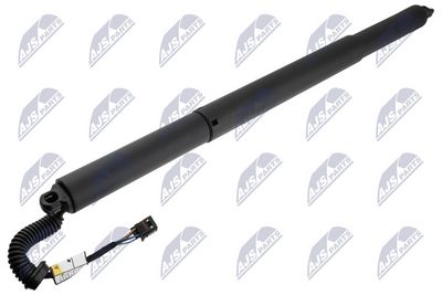 Dujinė spyruoklė, bagažinė