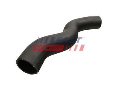 FURTUN EAR SUPRAALIMENTARE