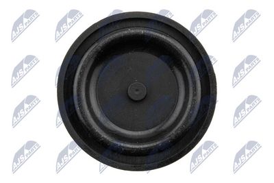 CAPAC CULBUTOR NTY BPZCT005 7