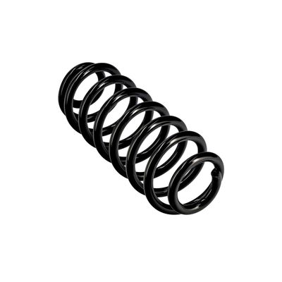 ARC SPIRAL EIBACH R10701 11