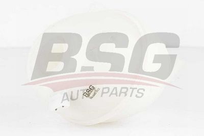BSG BSG 90-550-002 Расширительный бачок  для SEAT CORDOBA (Сеат Кордоба)
