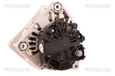 Alternator TRISCAN 831025006