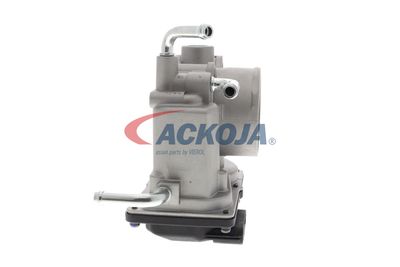 CARCASA CLAPETA ACKOJA A70810007 49