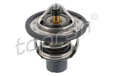 TERMOSTAT LICHID RACIRE