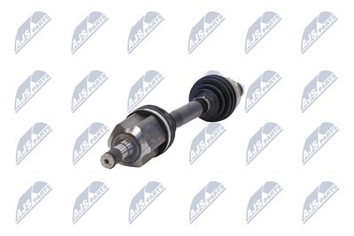 PLANETARA NTY NPWCH175 38