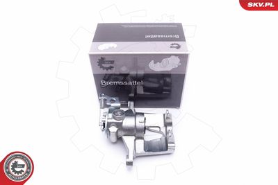 Brake Caliper 44SKV923