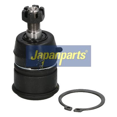 JAPANPARTS Šarnyras / girgždukas