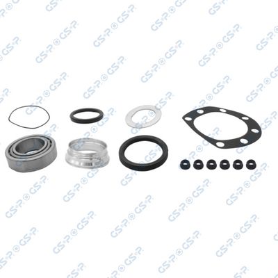 SET RULMENT ROATA GSP GK00X26