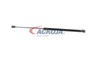 AMORTIZOR PORTBAGAJ ACKOJA A320132 38