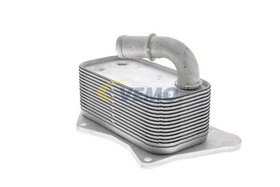 RADIATOR ULEI ULEI MOTOR VEMO V40602099 19