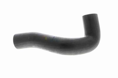 FURTUN EAR SUPRAALIMENTARE VAICO V240698 5