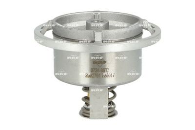 TERMOSTAT LICHID RACIRE NRF 725017