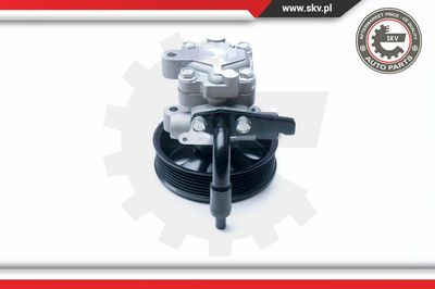 Гидравлический насос, рулевое управление ESEN SKV 10SKV201 для HYUNDAI H-1