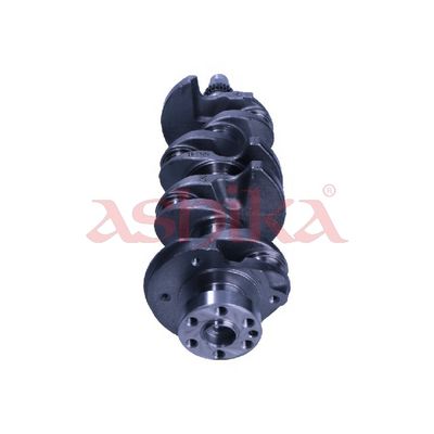 ARBORE COTIT ASHIKA 18HY002 1