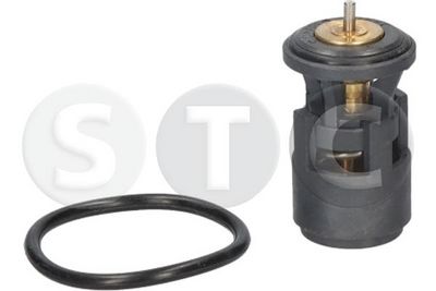 TERMOSTAT LICHID RACIRE