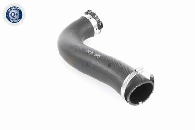 LADELUFTSCHLAUCH VAICO V460847 7