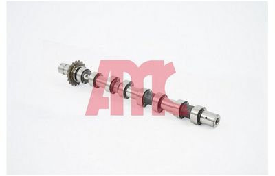 NOCKENWELLE AMC 647254 2