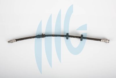 Тормозной шланг RICAMBIFLEX GM 02120269 для FIAT PALIO