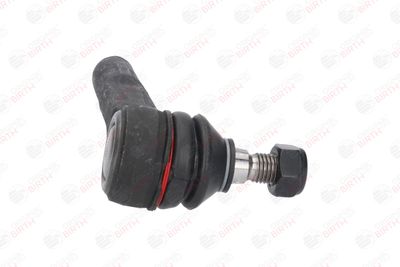 CAP DE BARA BIRTH RS4653 10