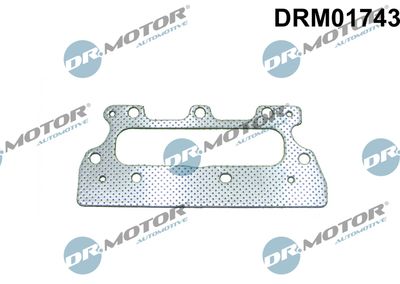 Dr.Motor Automotive DRM01743 Прокладка выпускного коллектора  для DACIA  (Дача Логан)
