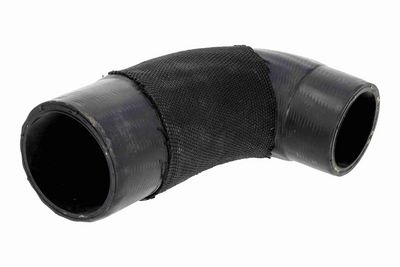 FURTUN EAR SUPRAALIMENTARE