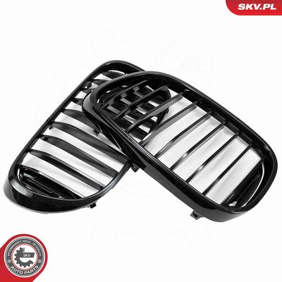 GRILA RADIATOR ESEN SKV 66SKV222 3