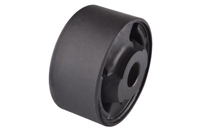 TEDGUM Lagerung, Differential