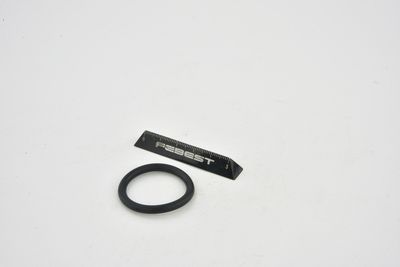 GARNITURA FLANSA LICHID RACIRE FEBEST TTTRAFII 31