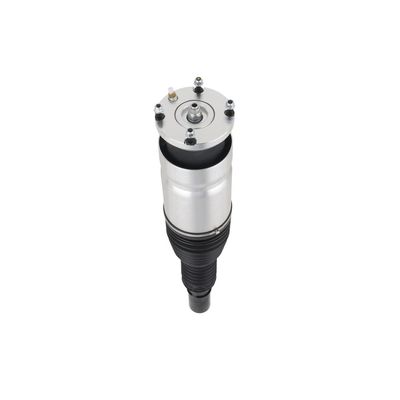 LUFTFEDERBEIN Arnott ASE3756 61