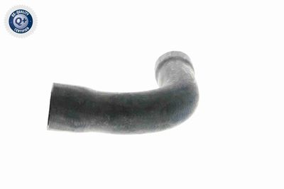 FURTUN RADIATOR VAICO V201250 4