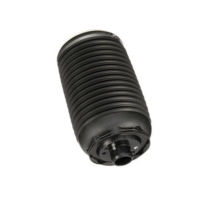 LUFTFEDER FAHRWERK Arnott A3295 69