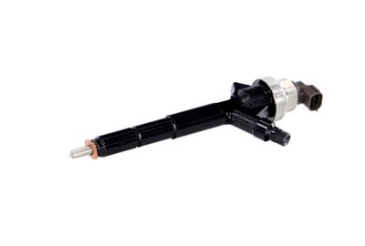 INJECTOR REMANTE 002003000192R 6