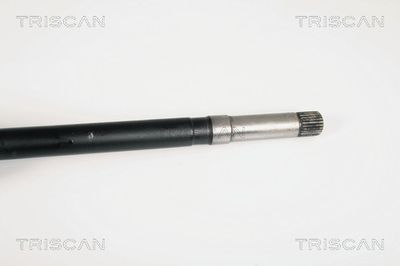 PLANETARA TRISCAN 854028558 3