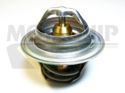 MOTAQUIP VTS248 Термостат  для FORD SCORPIO I (GAE, GGE) 2.0 i
