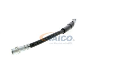 FURTUN FRANA VAICO V104119 27