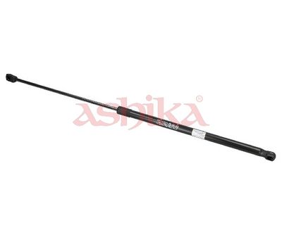 ZSAK0021