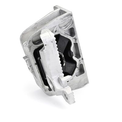 LAGERUNG MOTOR DELPHI TEM293 6