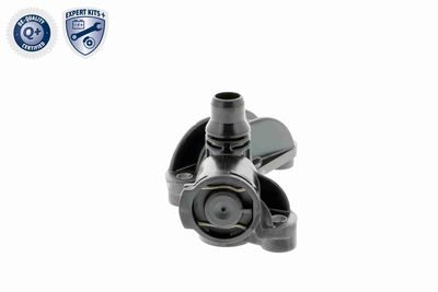 TERMOSTAT RACIRE ULEI VEMO V20991283 7