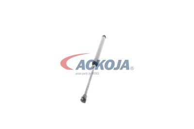 AMORTIZOR PORTBAGAJ ACKOJA A380339 26