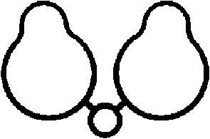 DICHTUNG ANSAUGKRüMMER