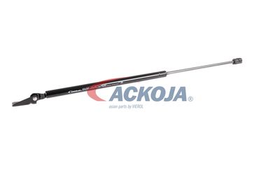 AMORTIZOR PORTBAGAJ ACKOJA A520066 56