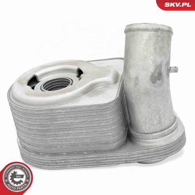 RADIATOR ULEI ULEI MOTOR ESEN SKV 31SKV312 3