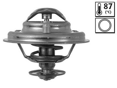 TERMOSTAT LICHID RACIRE